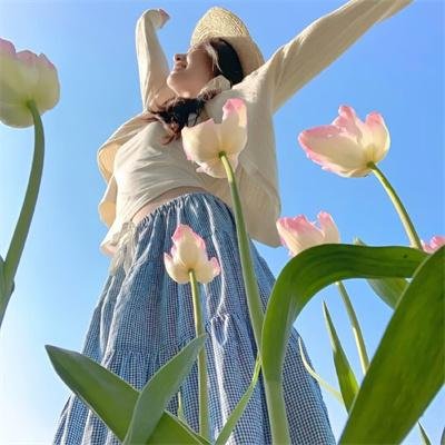 圆月映花都